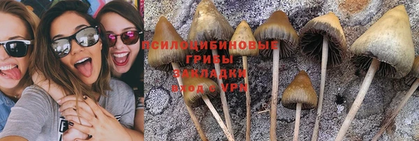 каннабис Арсеньев
