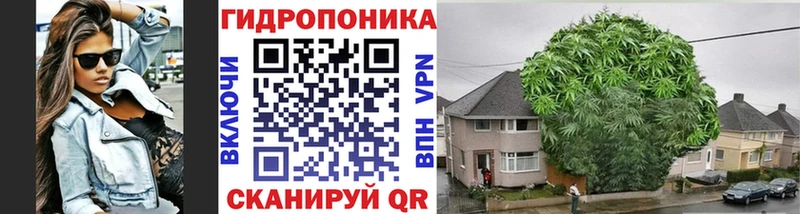 Бошки марихуана Bruce Banner blacksprut ссылка Теберда дарнет шоп